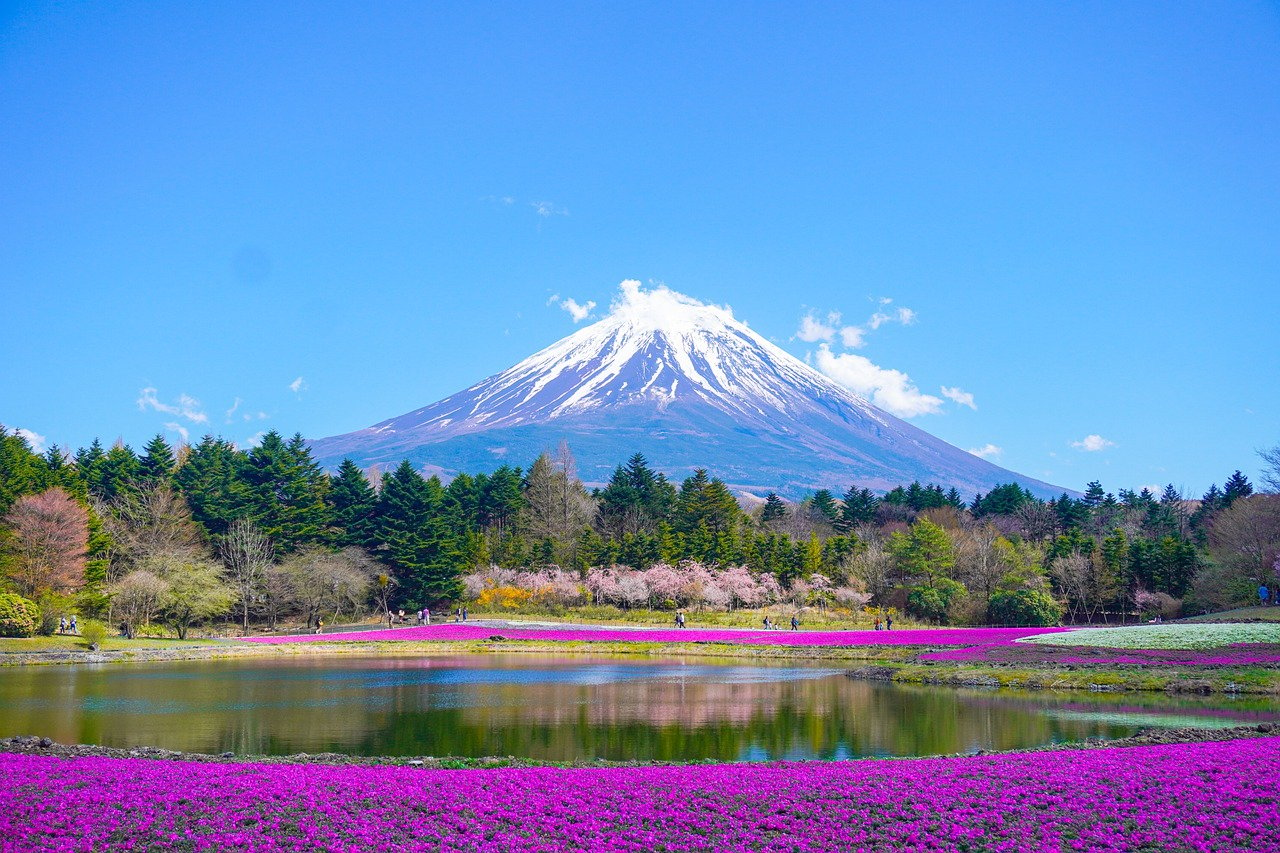 Japon «Tokyo et ses fleurs & Expo Universelle d'Osaka»