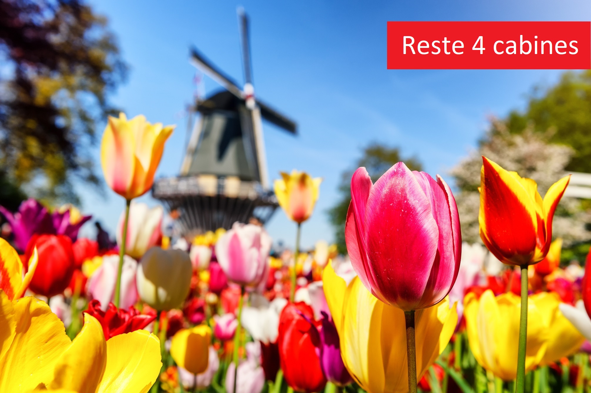 Alsace Et Hollande Au Temps Des Tulipes Et Croisi Re Fluviale Sur Le Rhin Romantique Damsterdam